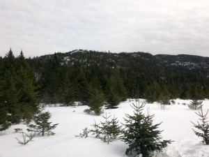 Returning to the Upperworks Parking area, via Calamity Brook Trail