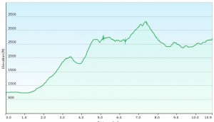 Elevation Profile Day 1