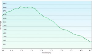 Elevation Profile Day 4