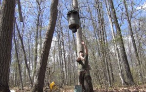 bear feeder PIC 14